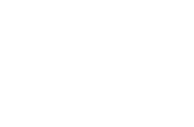 Window Project